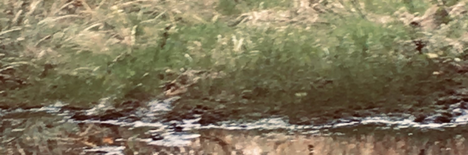 StefanKrab's profile banner image