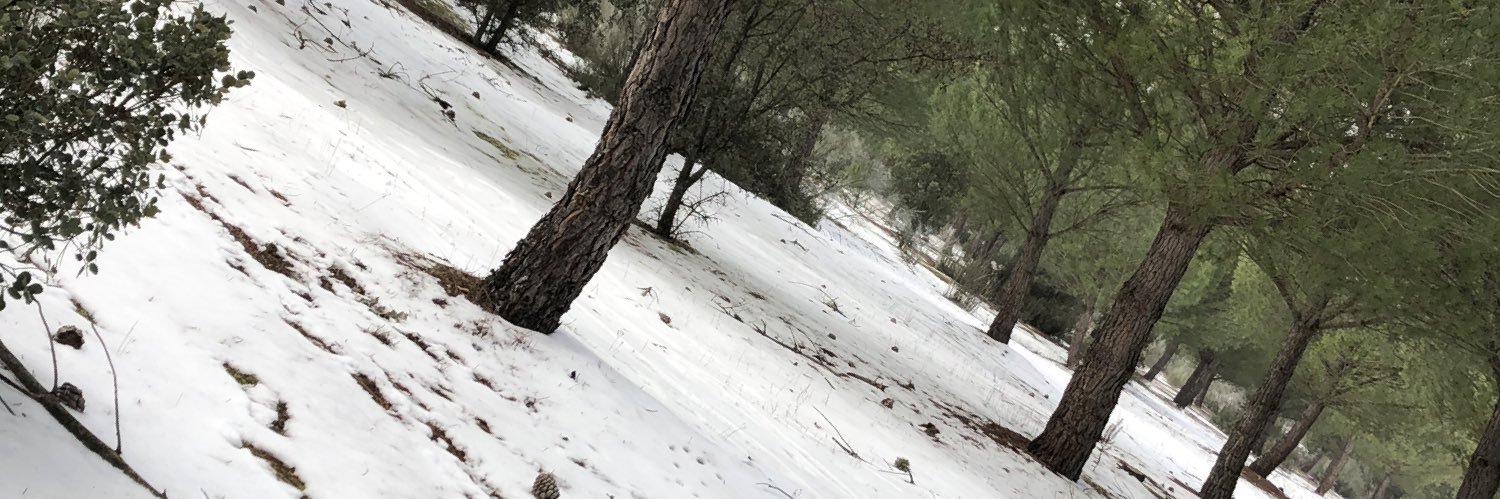 bruno_cdr's profile banner image