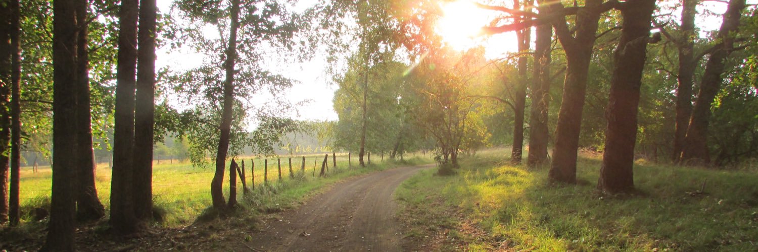 CarolaLP's profile banner image