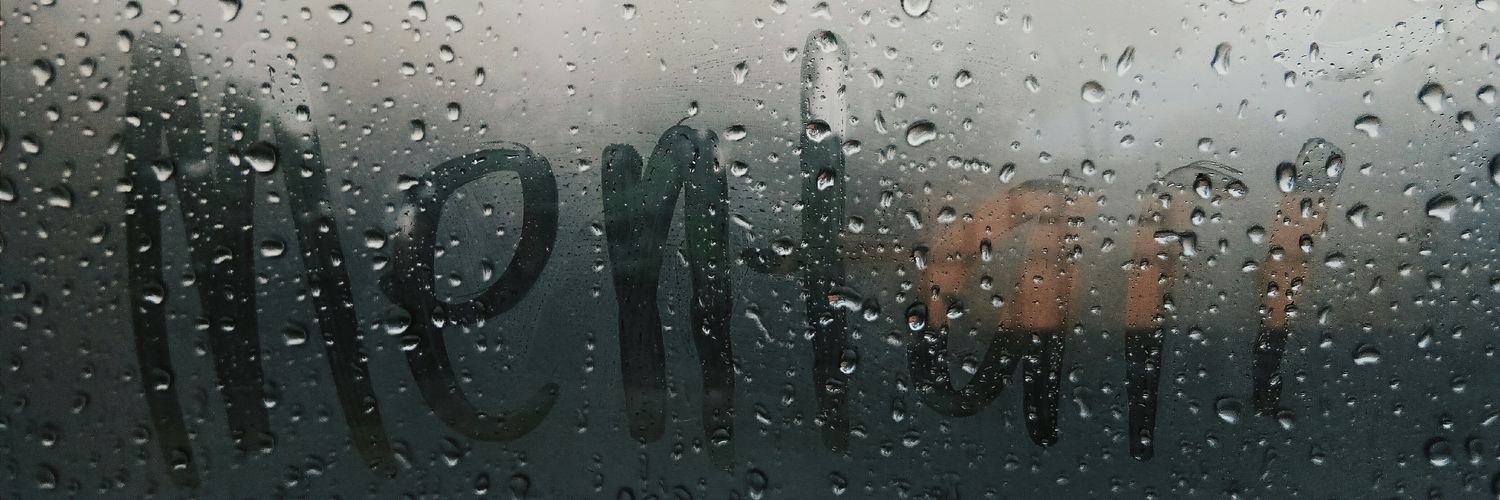 mentariwp's profile banner image