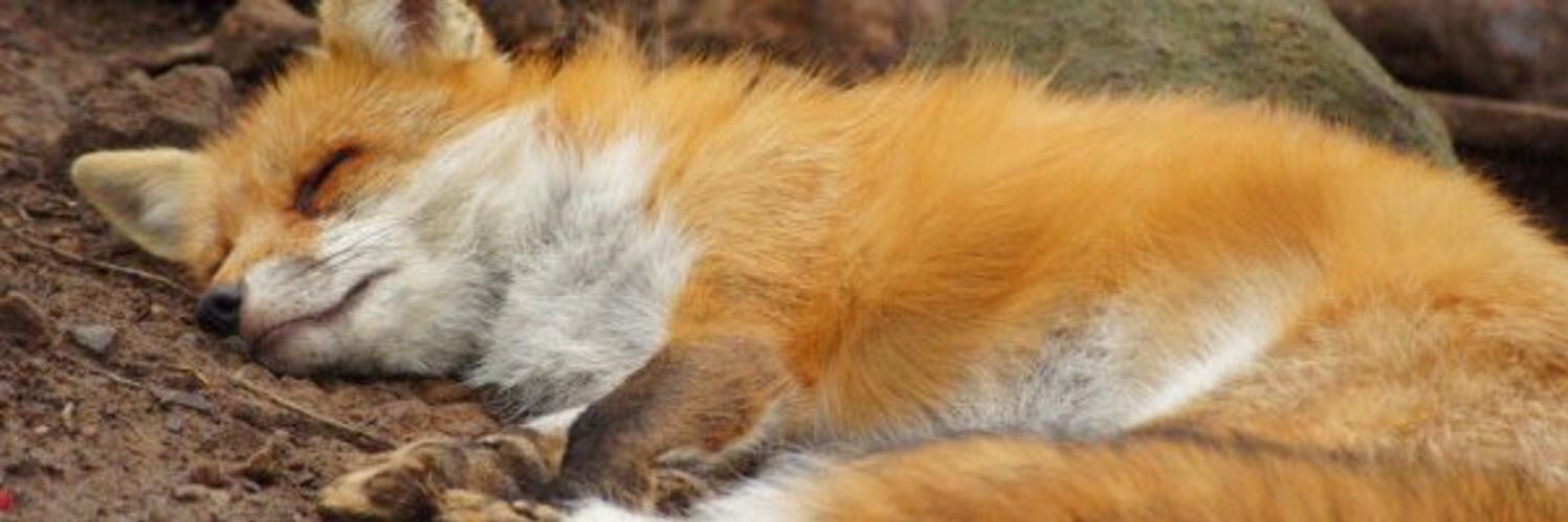 ye_lp's profile banner image