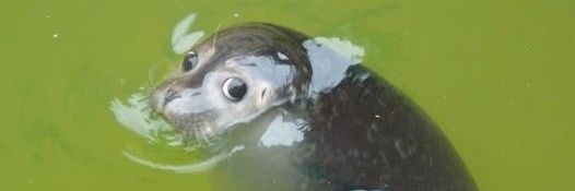 _aranadd's profile banner image