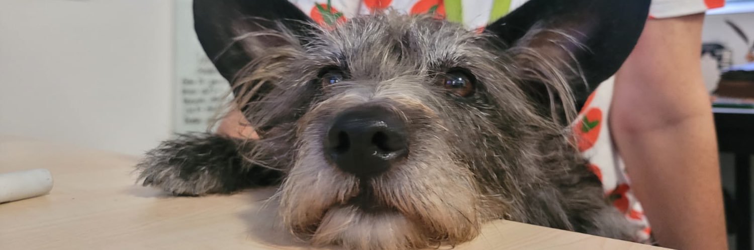 AndreaGonzálezOspina banner