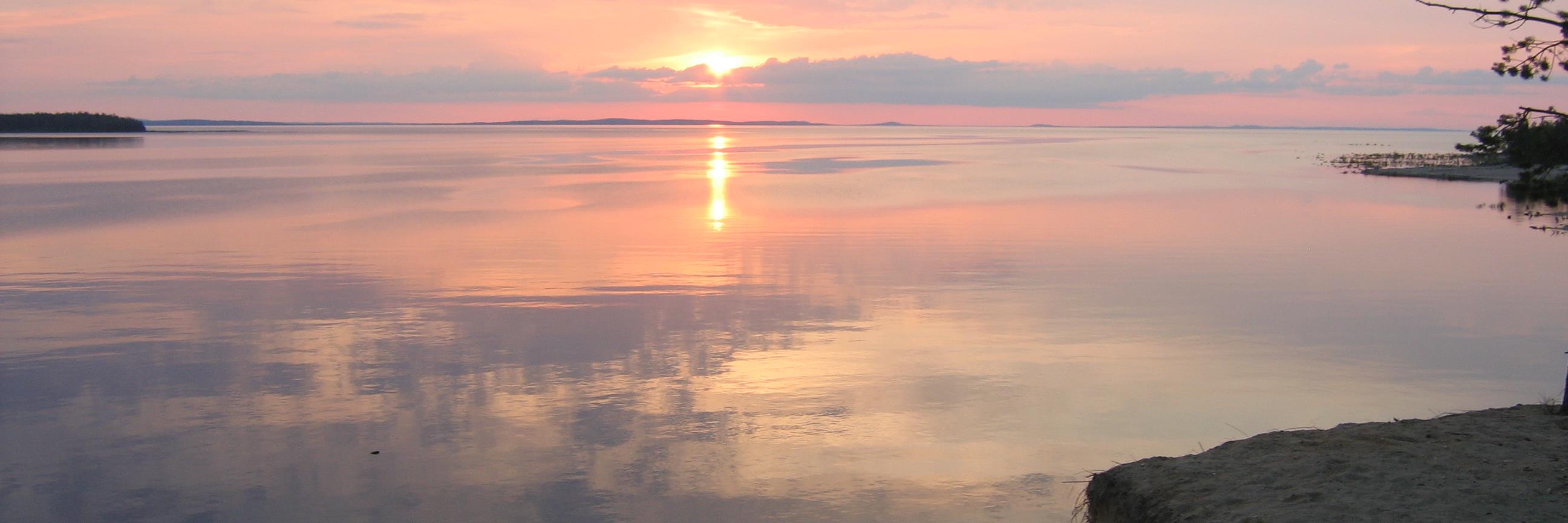 Кот Арс banner