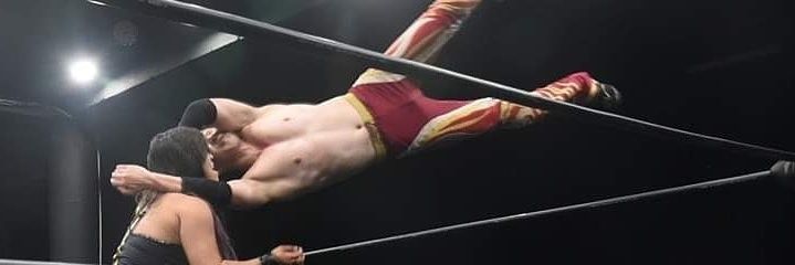 redfoxsiho's profile banner image