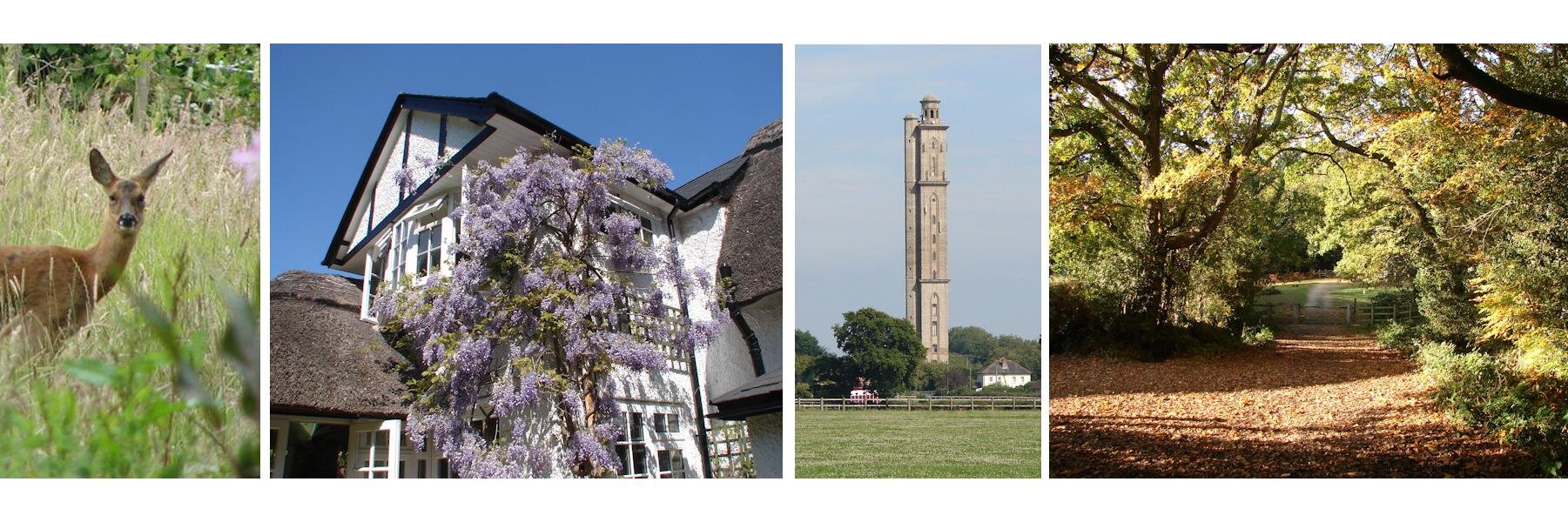 Stephen Tarling banner