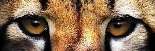 AnderGoomez's profile banner image