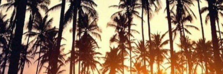 Maria_AJ10's profile banner image