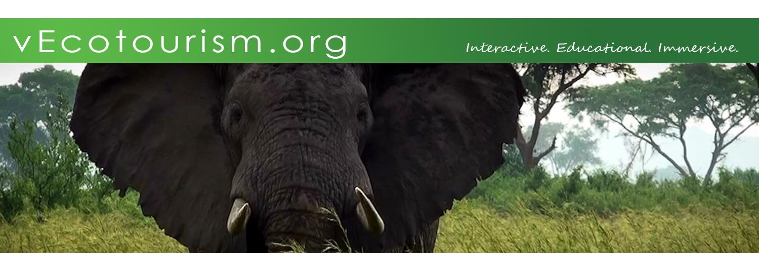 vEcotours's profile banner image