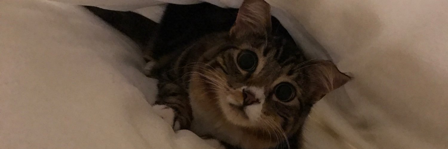 tabithapl's profile banner image