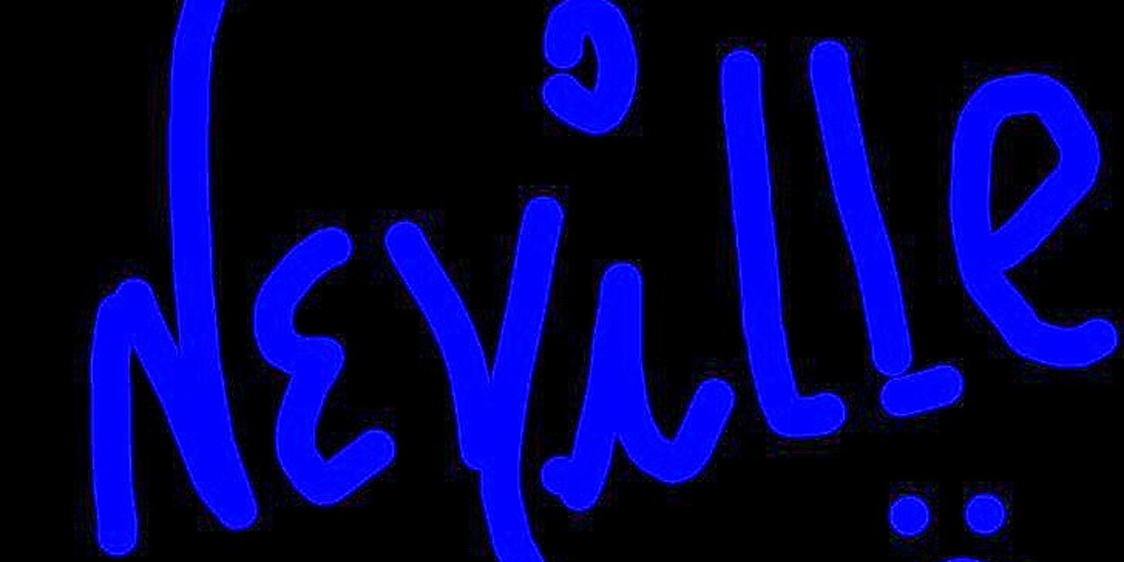 nelzville's profile banner image