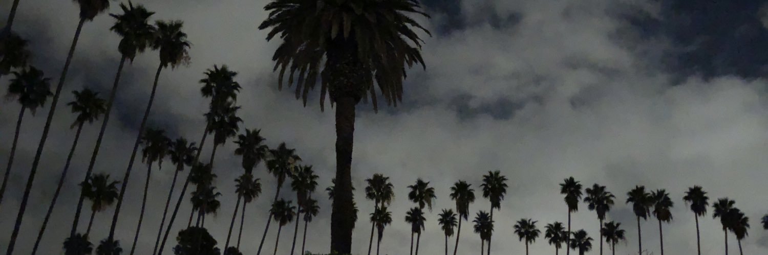 gsnitsuj's profile banner image