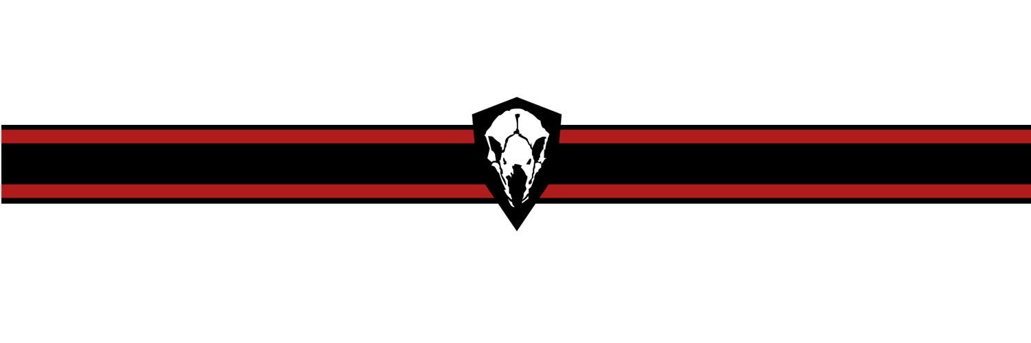 paWOLFck's profile banner image