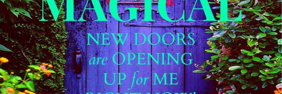 elsa_waldron's profile banner image