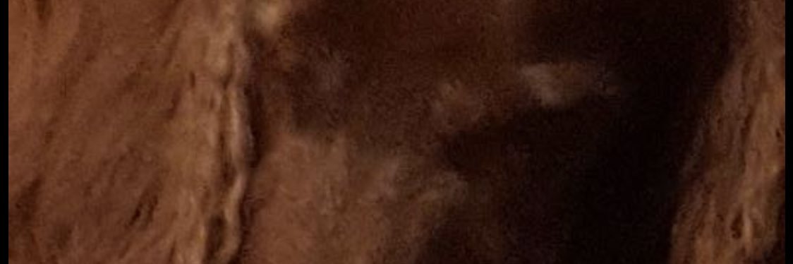 cobaka's profile banner image