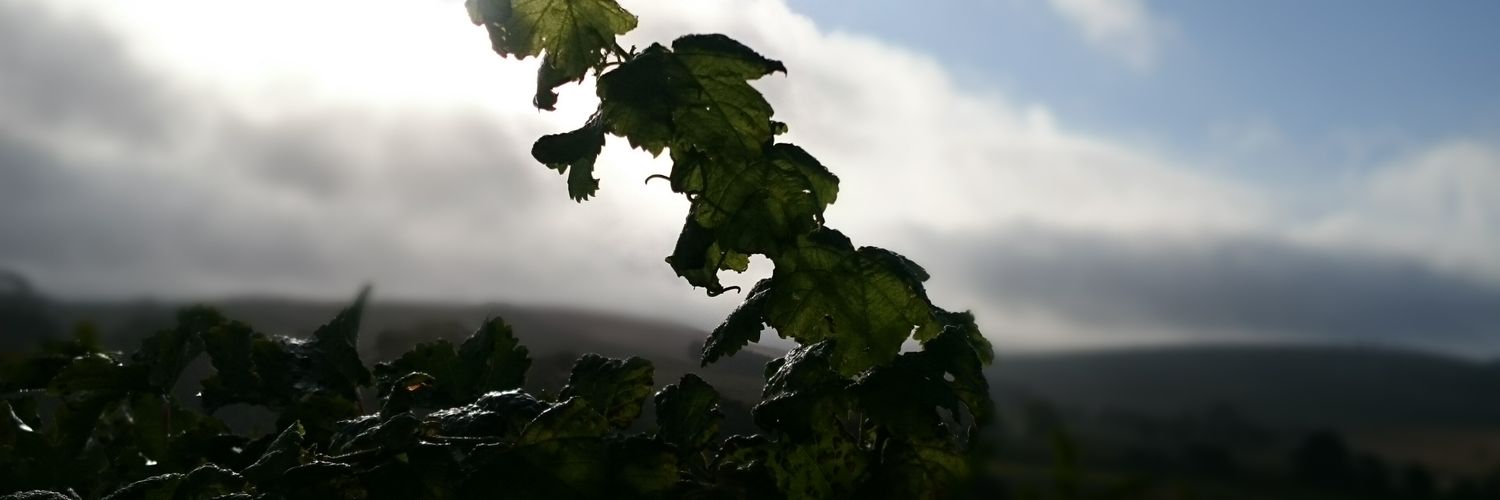 ErichEndzeit's profile banner image
