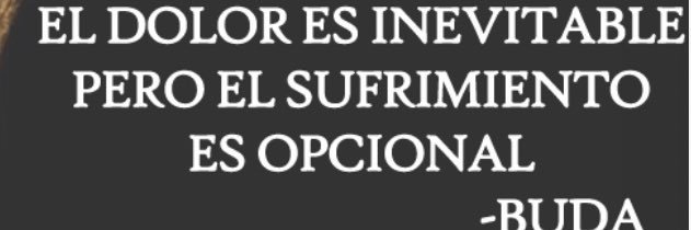 virbermejo's profile banner image