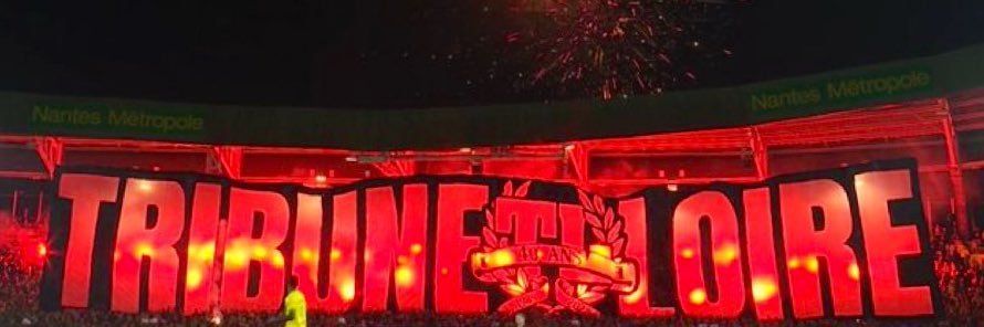 ℙOKi ◬ ᵅ ᵊ 🍄 banner