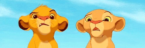 AmersfoortAmbon banner