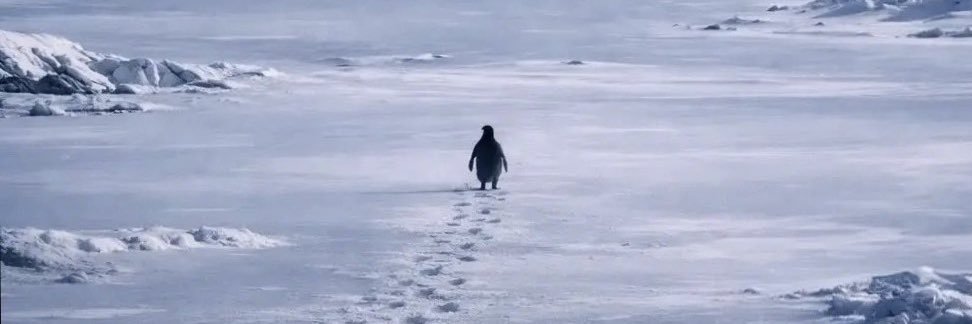 angeljvr_'s profile banner image