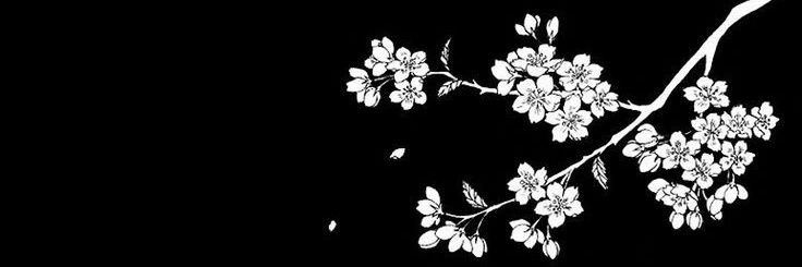 bnrpkn's profile banner image