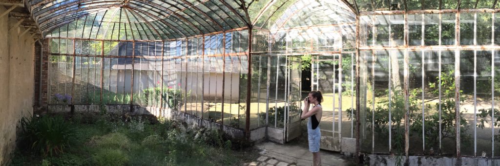 Katie Mesner-Hage banner