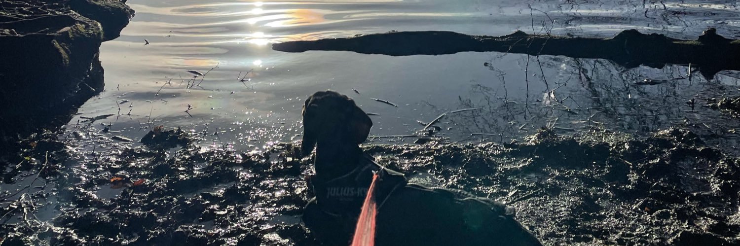 emmmmagreen's profile banner image