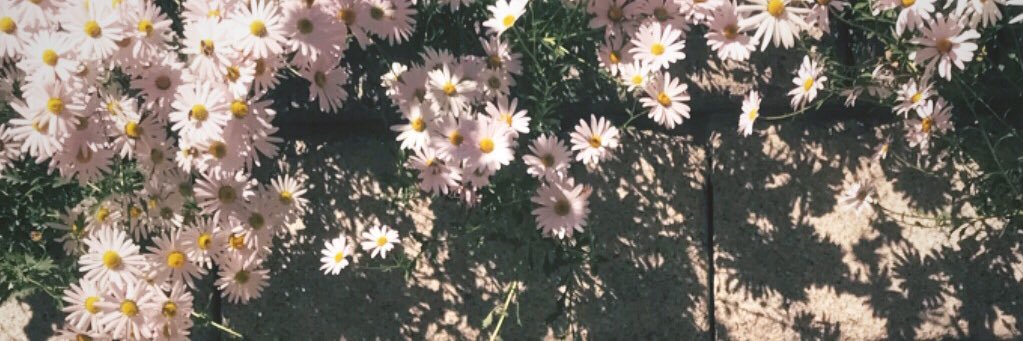 _lyeresthns's profile banner image