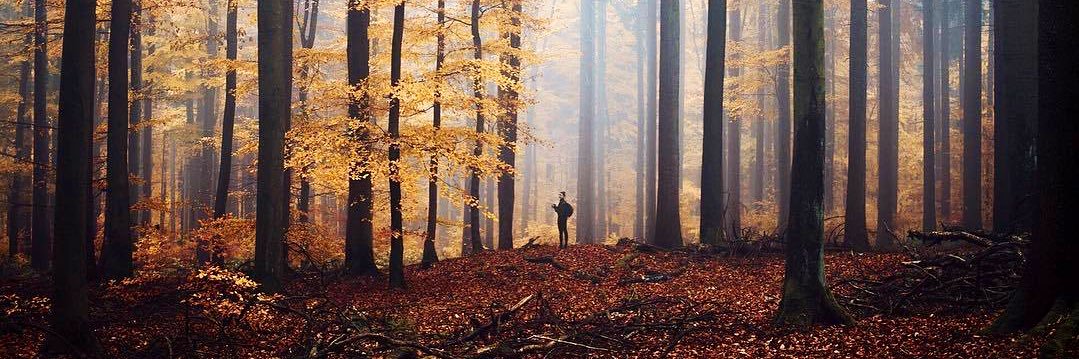 🆃🆁🅰🆅🅸🆂 banner