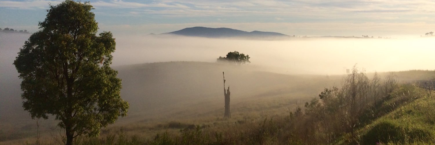 Shane O'Leary banner