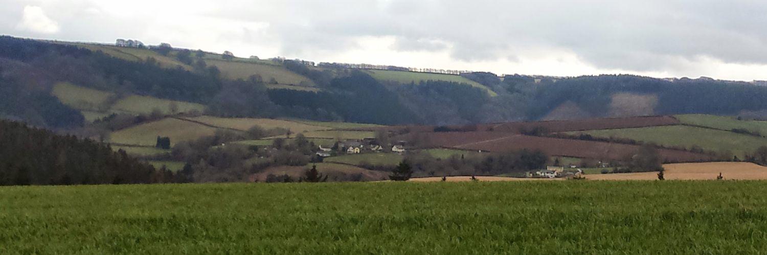 natmurray banner