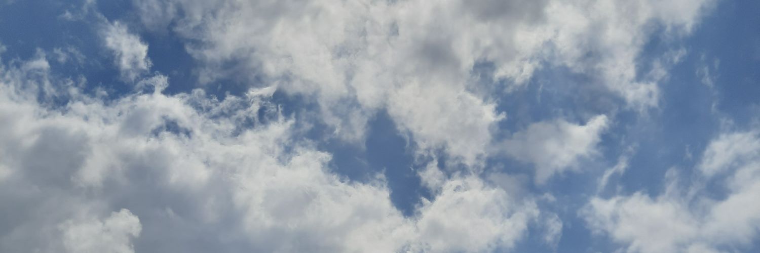 elfarafd's profile banner image