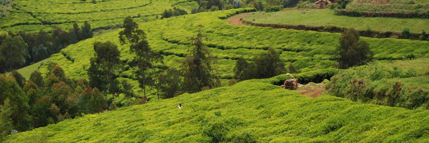 Bashirahishize Dieudonné Profile Banner