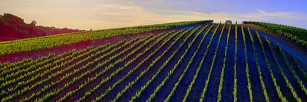 VincentIrizarry Profile Banner