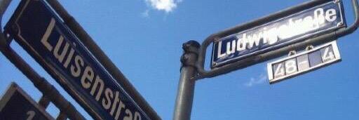 luise_ludwig's profile banner image