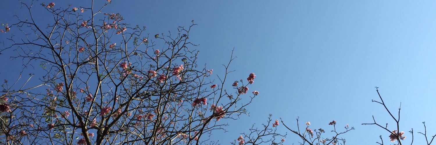 kaiwit_'s profile banner image