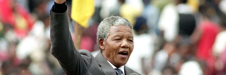 illinois cook 🇵🇸 banner