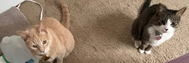 JamieLee_29's profile banner image