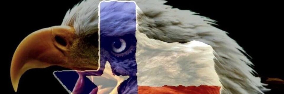 saseblon's profile banner image