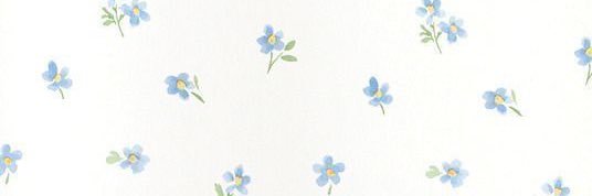 mspopsiclepete's profile banner image