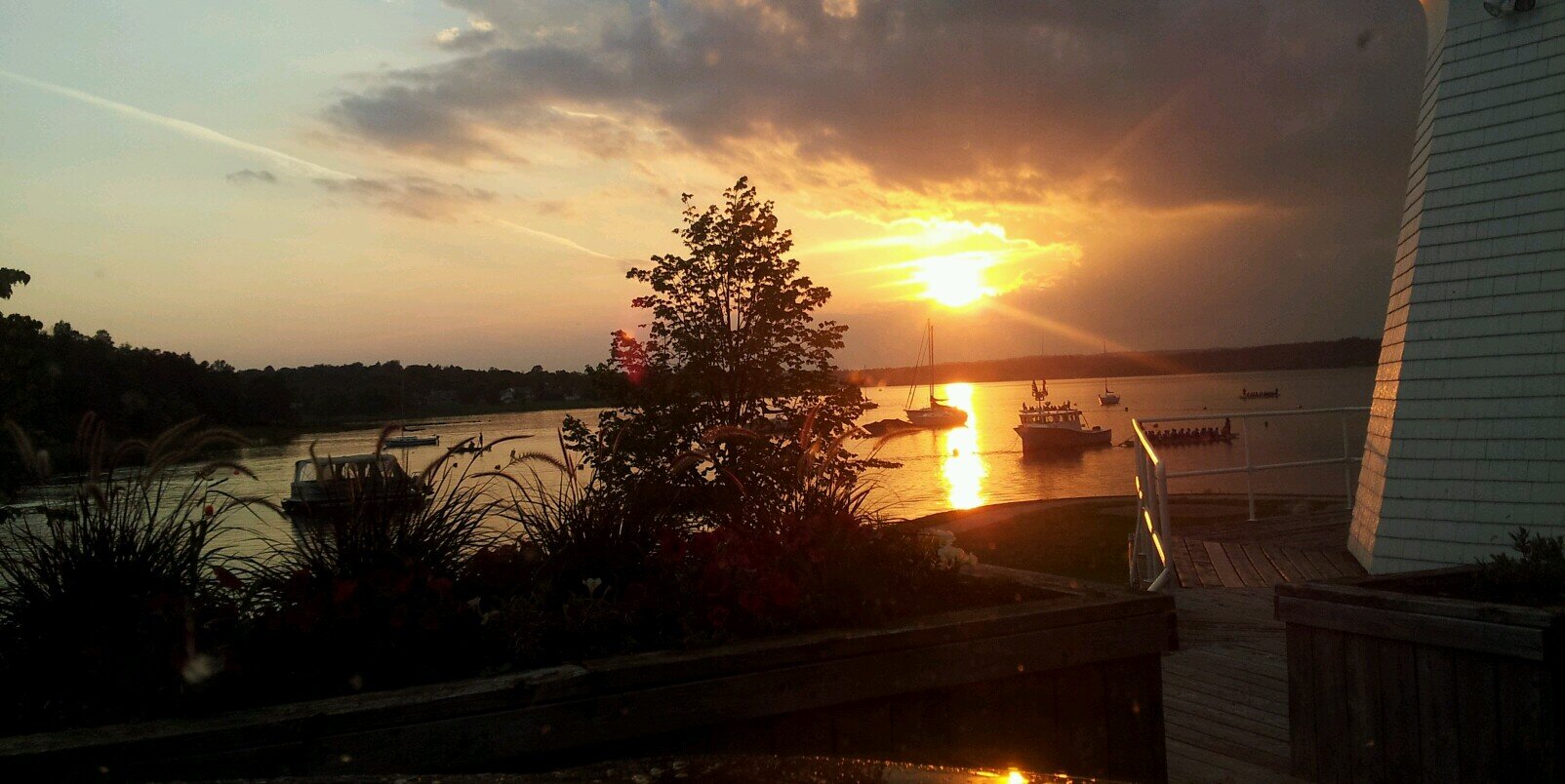 allysonpalmer's profile banner image