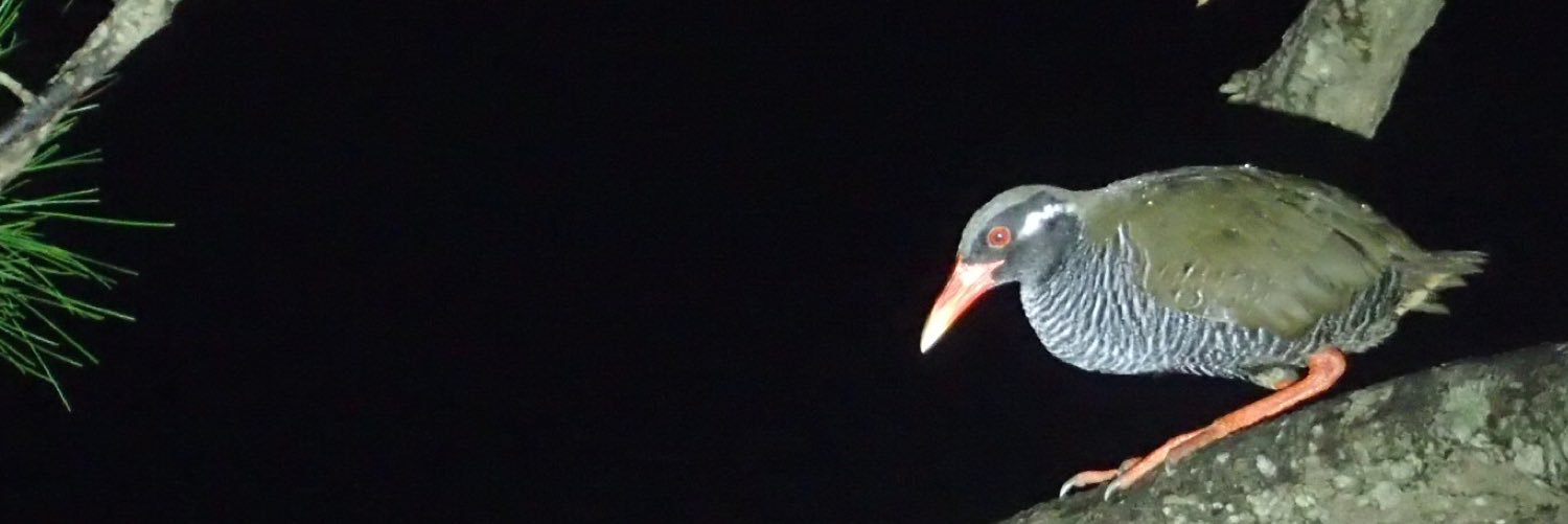 DHposaposa's profile banner image