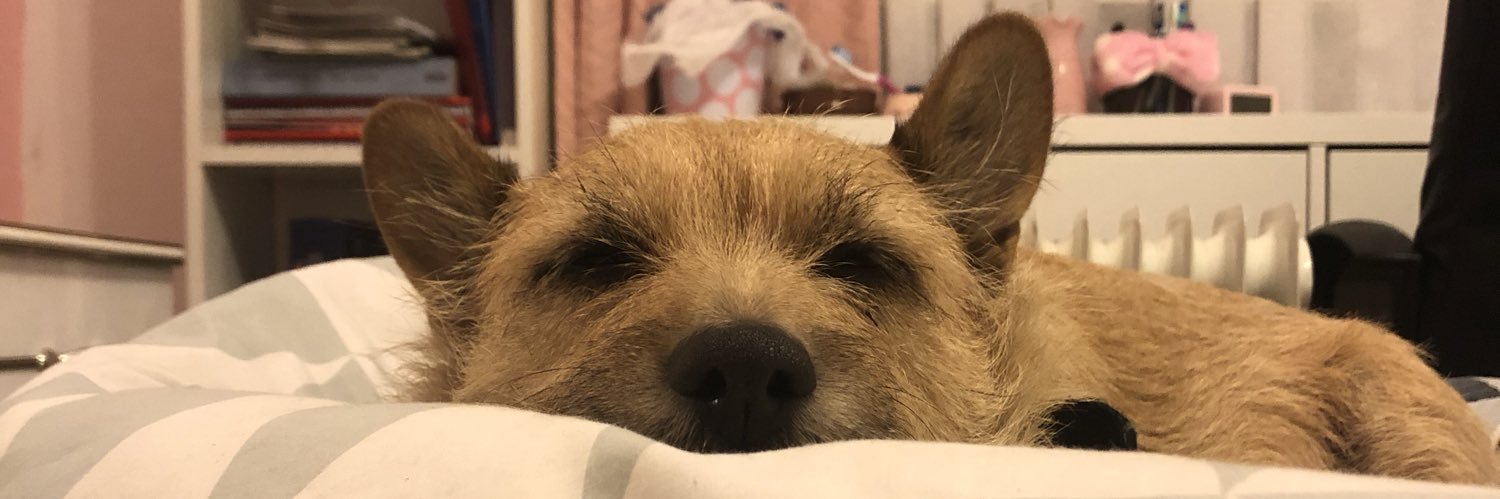 elliengyn's profile banner image