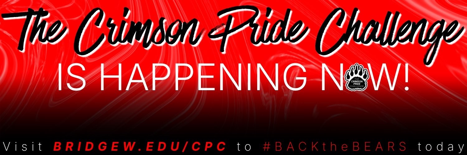 bsubears's profile banner image