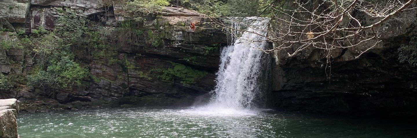 Stacey Cornette, Ph.D. banner