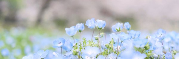 indwellxxx Profile Banner