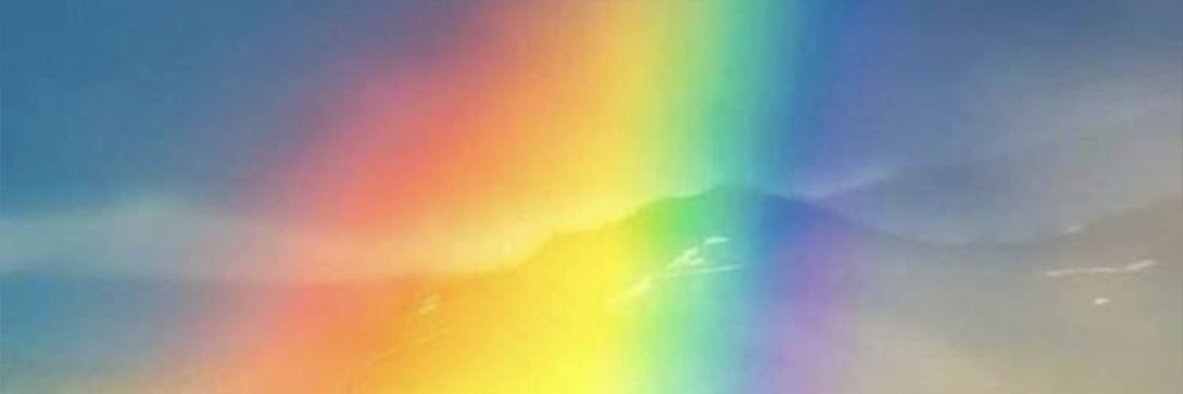 tmfleur's profile banner image