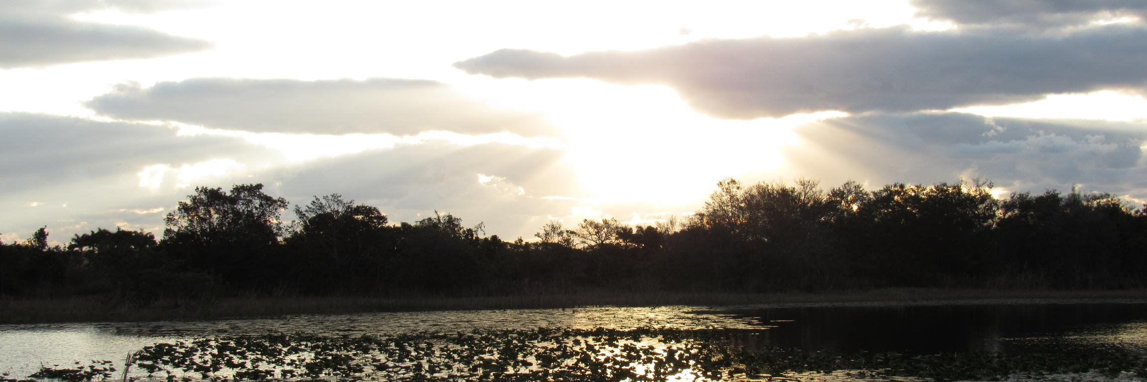 hathoz's profile banner image