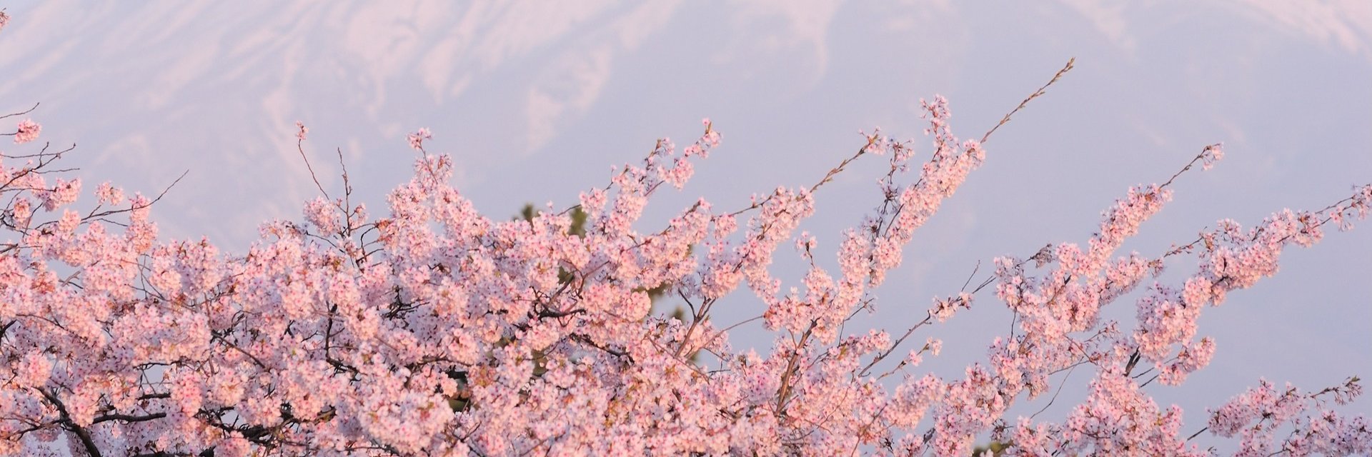 AinaAzwan's profile banner image