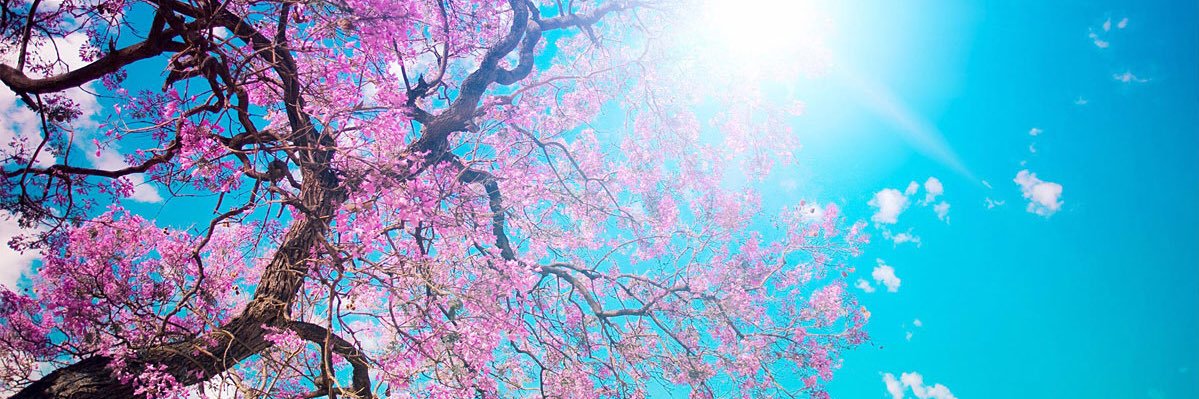 chillfullyy's profile banner image